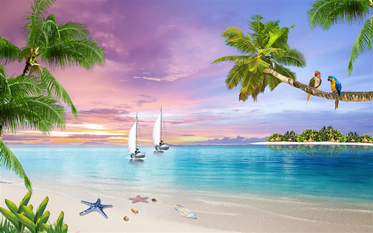 Papier peint yachts à voiles près du bord de mer