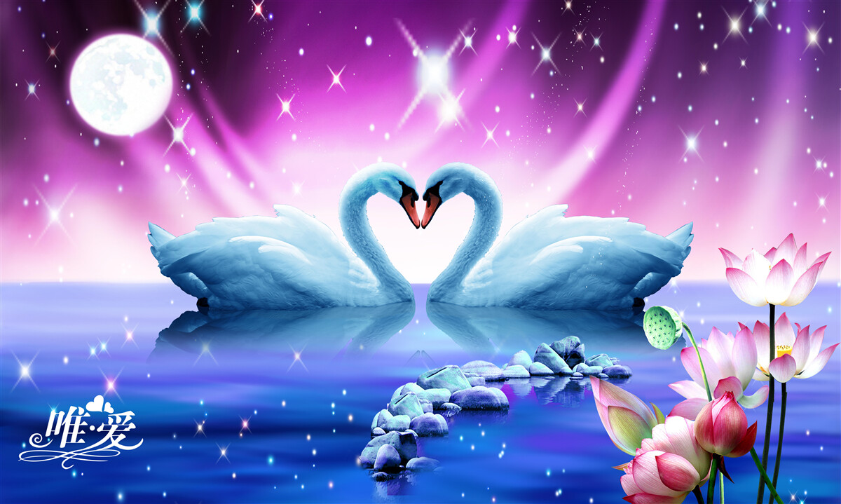 Papier peint les cygnes amoureux forment un coeur