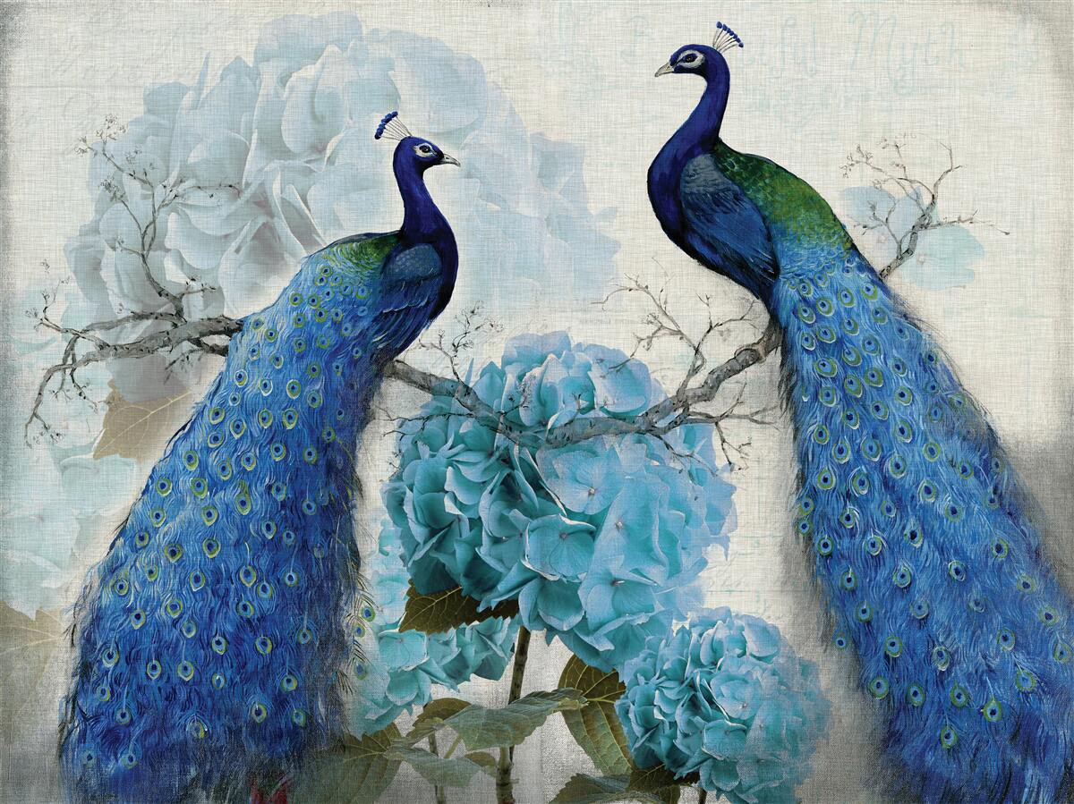 Papier peint paons avec des plumes bleues sur des fleurs de la même teinte