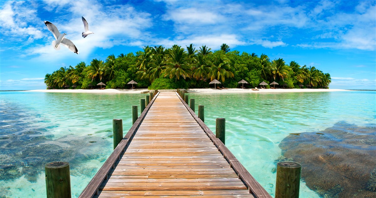 Papier peint la route vers l'île tropicale