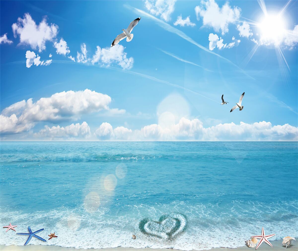 Papier peint mouettes sur les vagues bleues