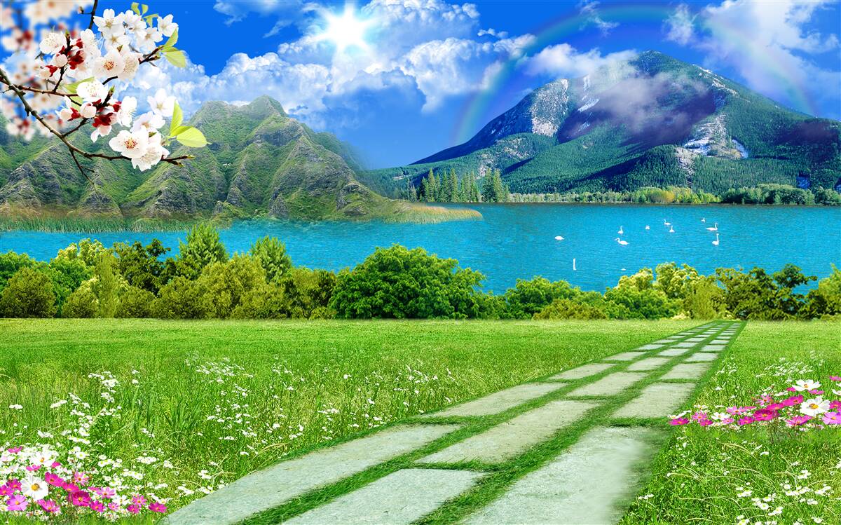 Papier peint vue imprenable sur un lac de montagne en été