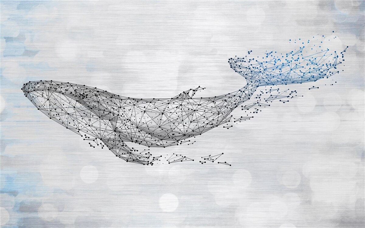 Papier peint la baleine blanche dans une métamorphose de l'abstraction