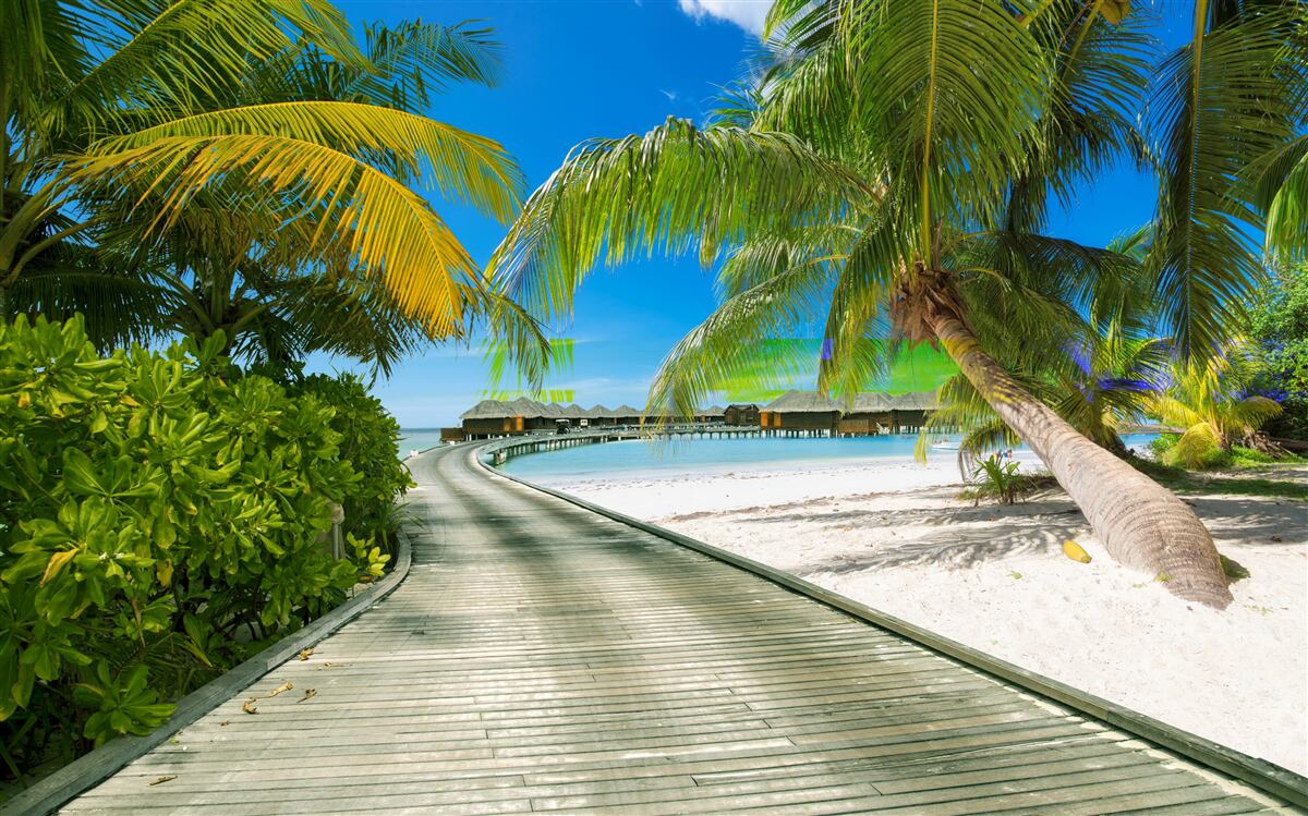 Papier peint Chemin des chalets de bord de mer