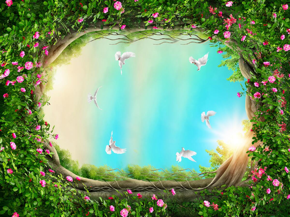 Papier peint dans un cadre vert de fleurs, des pigeons planent dans le ciel