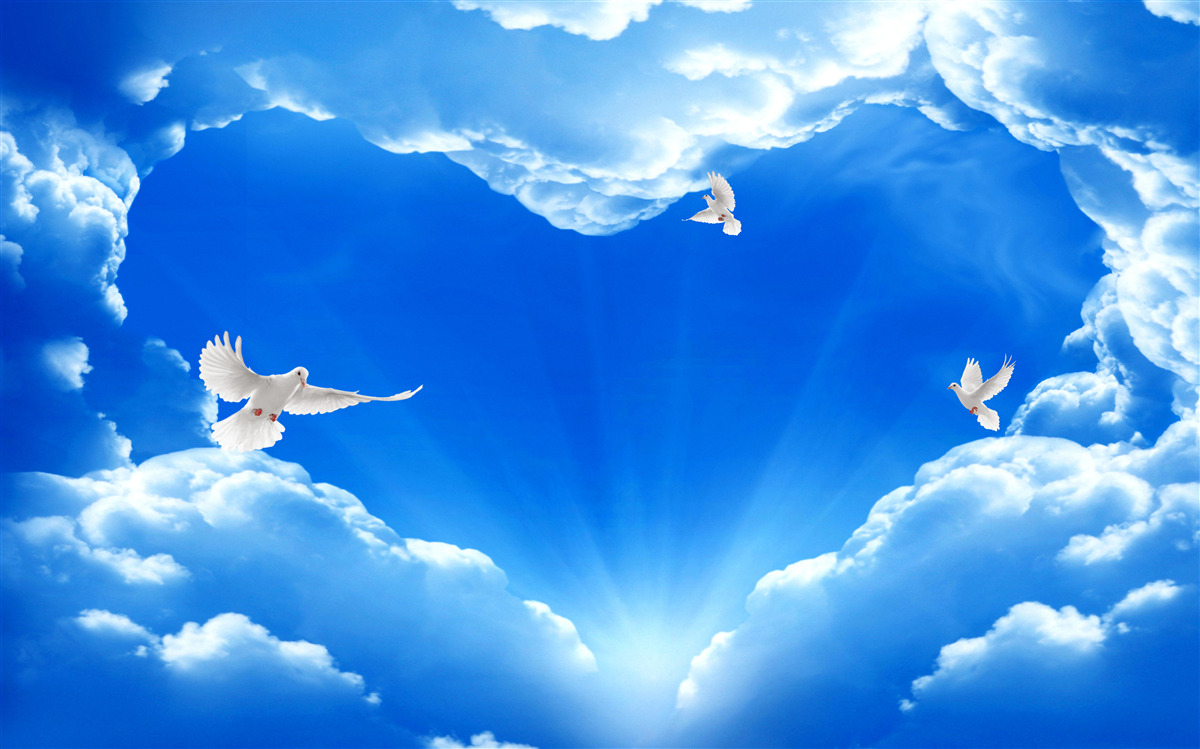 Papier peint les oiseaux bleus s'envolent dans le ciel