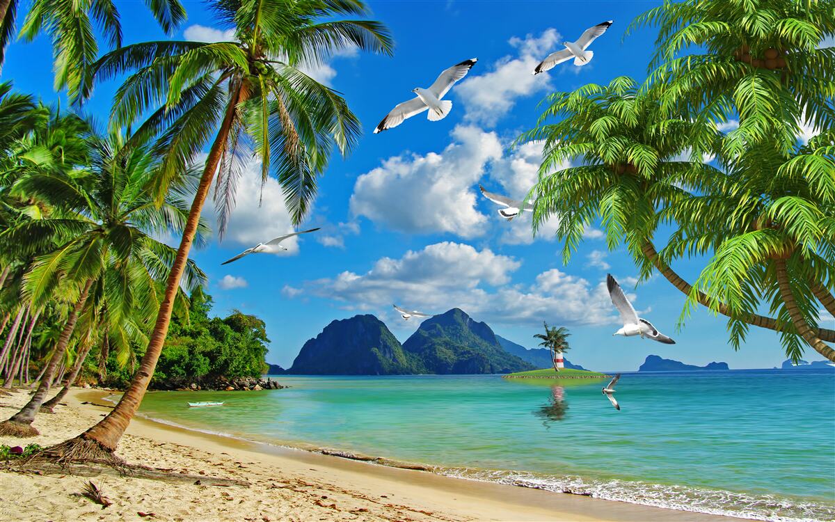 Papier peint Le paradis sous les tropiques