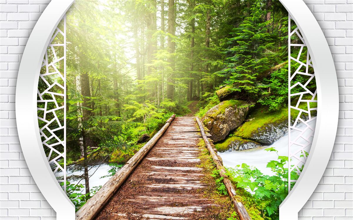 Papier peint Chemin de montagne traversant une forêt dense