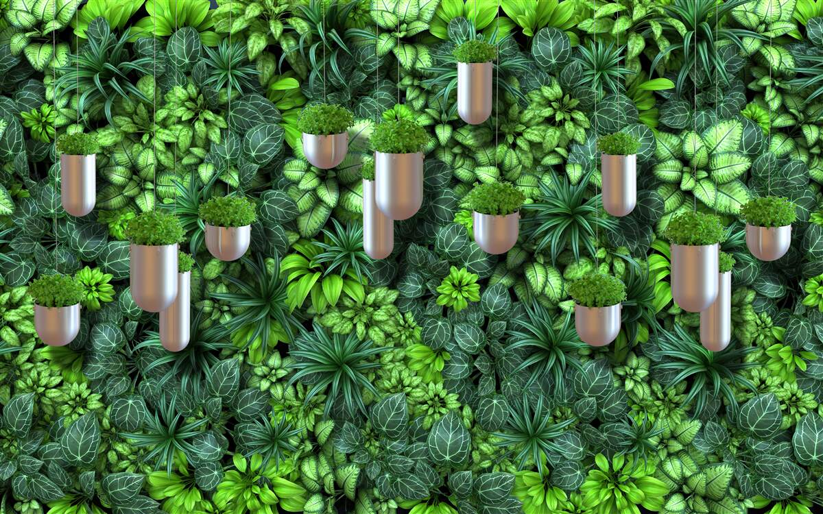 Papier peint la couleur est verte et les plantes sont en pot