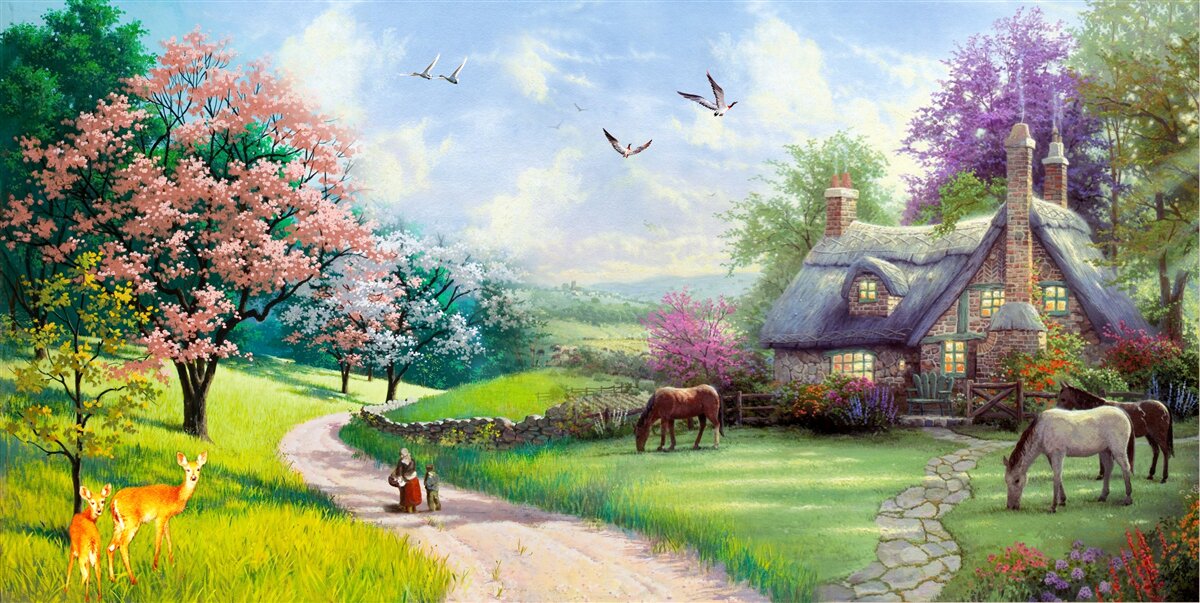 Papier peint maison d'été isolée dans la forêt