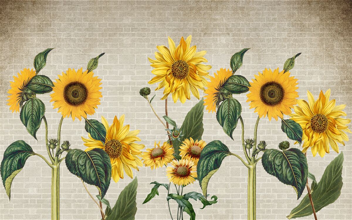 Papier peint Mur de briques avec tournesols au premier plan