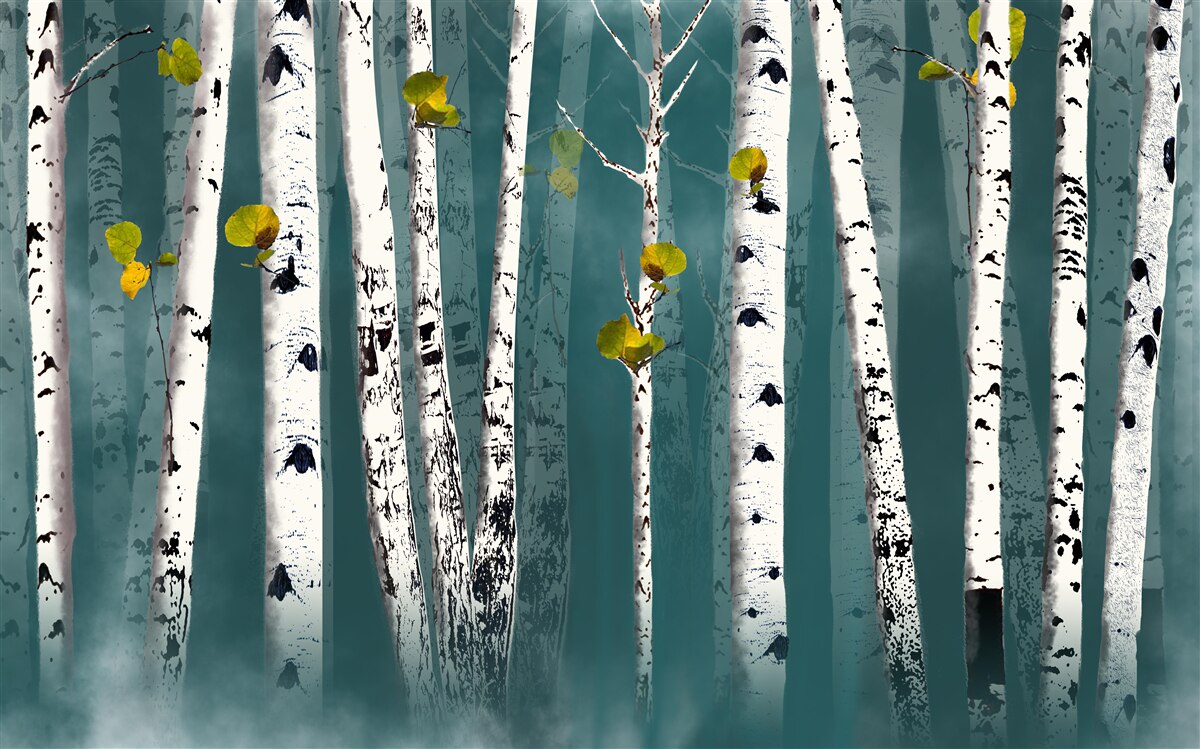 Papier peint les bouleaux étaient enveloppés d'un voile brumeux