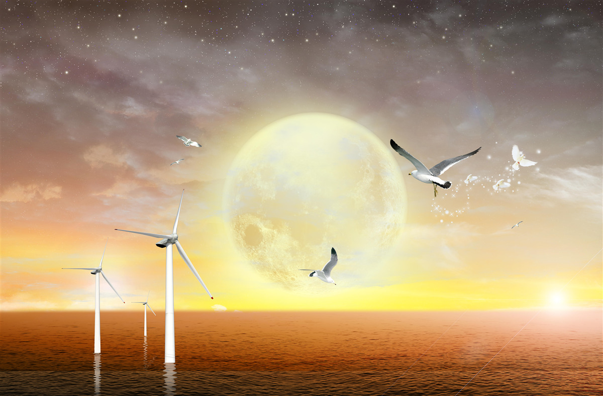 Papier peint le coucher de soleil sur la mer est accompagné du cri des mouettes