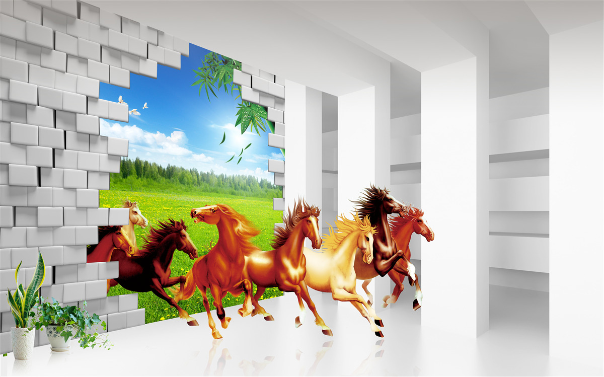 Papier peint des représentants de différentes races de chevaux se précipitent hors du pré