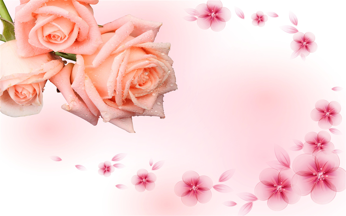 Papier peint fleurs roses sur fond de même couleur