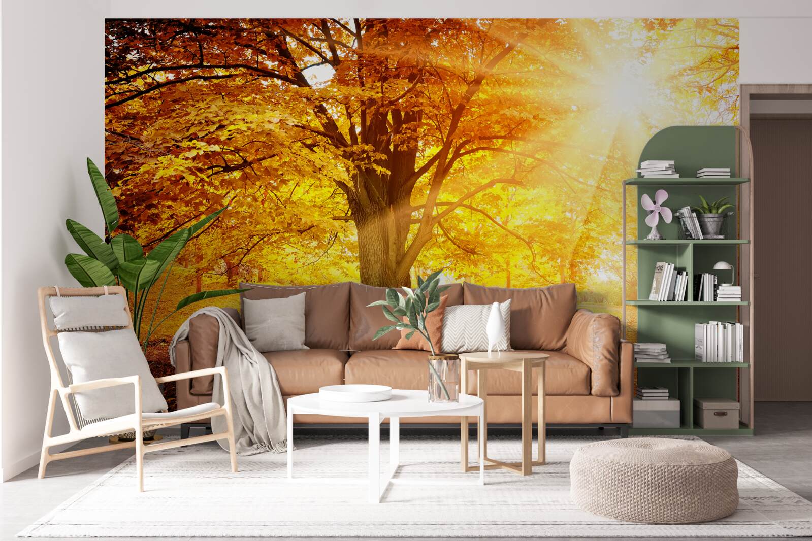 Papier peint la lumière vive du soleil pénètre la brume automnale de la forêt