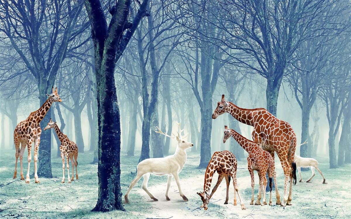 Papier peint Les girafes se font un nouvel ami