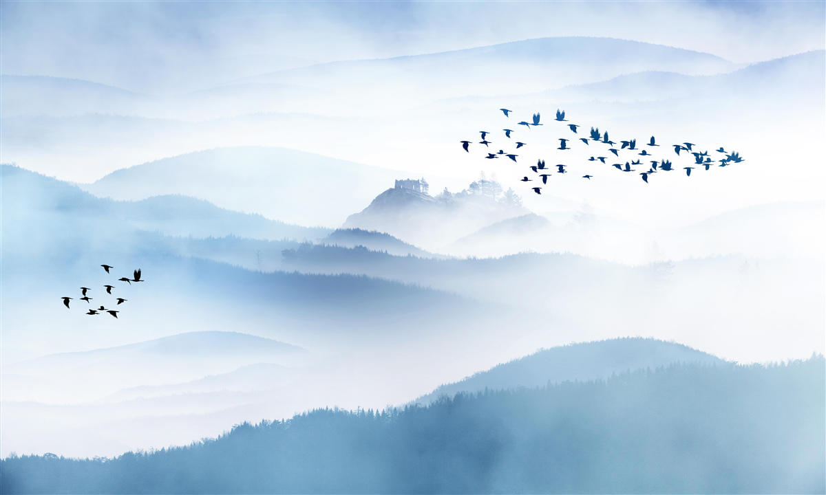 Papier peint des groupes d'oiseaux s'élèvent au-dessus des sommets brumeux