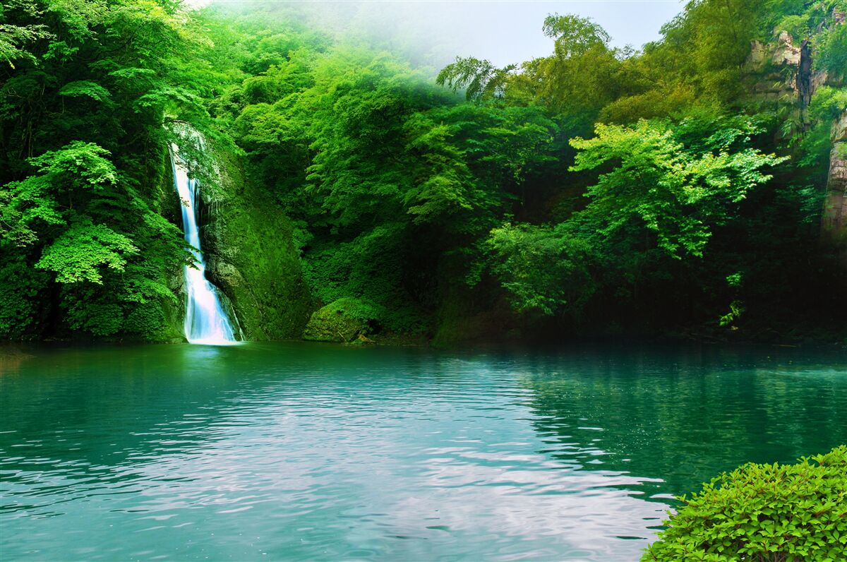 Papier peint cascade forestière s'écoulant d'une haute montagne