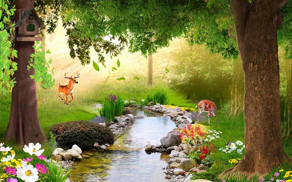 Papier peint stand de cerfs près de la rivière forestière