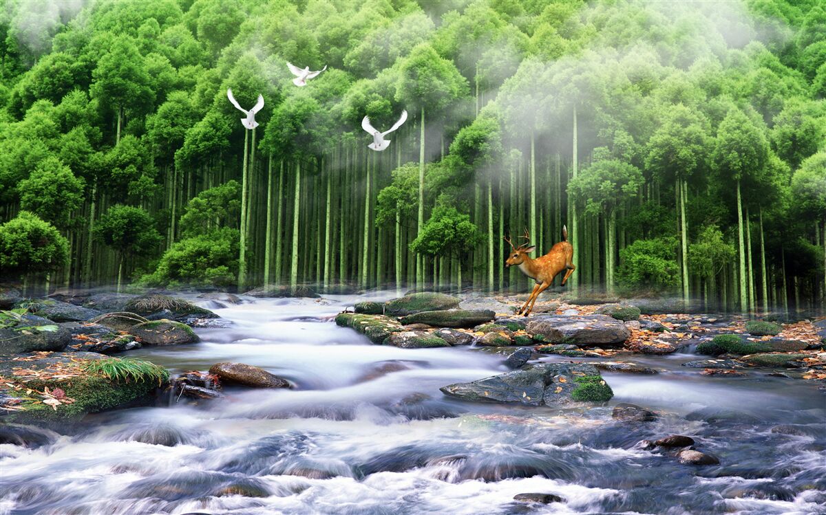 Papier peint nature forestière et chutes d'eau en cascade