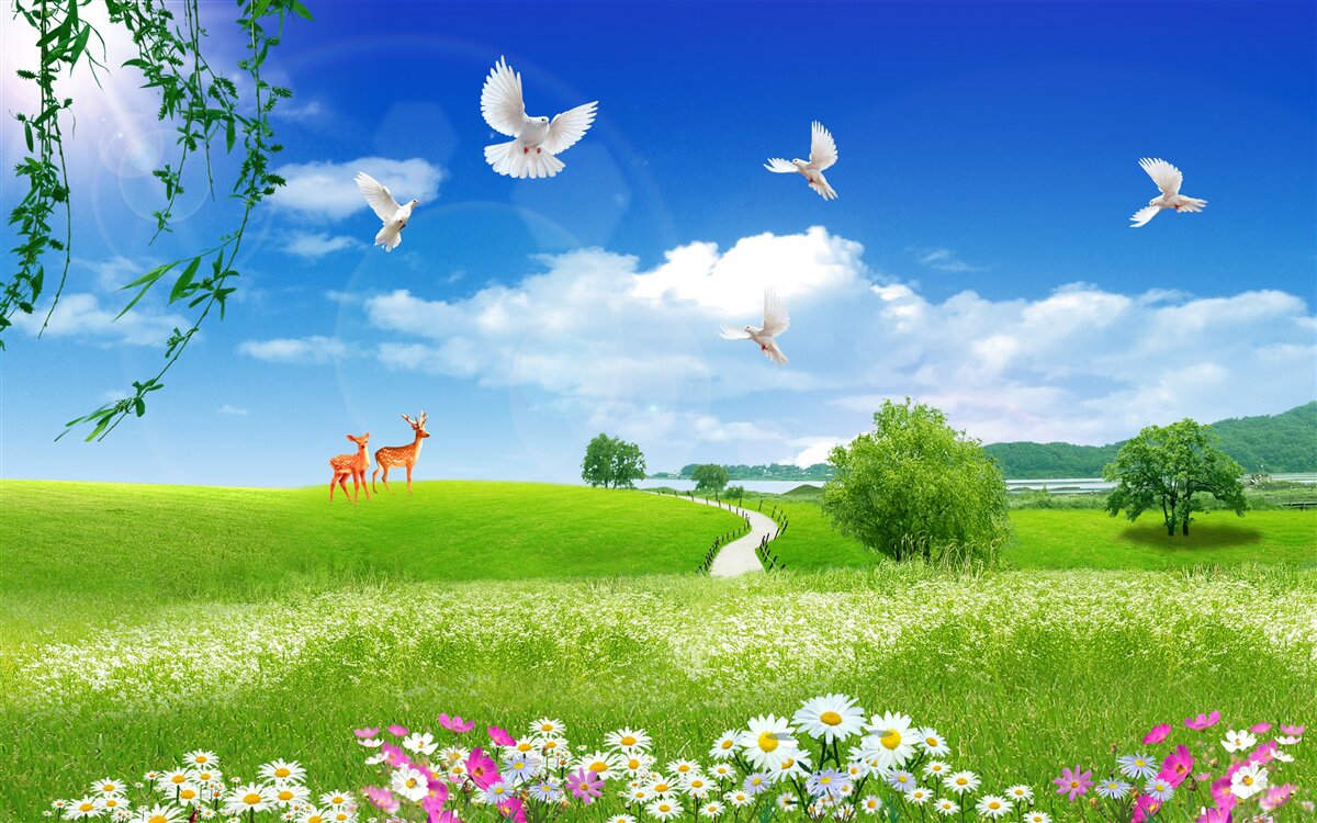 Papier peint deux cerfs dans les espaces verts