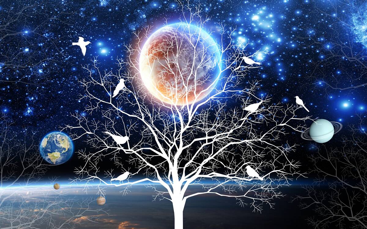 Papier peint arbre de la paix sur fond de ciel étoilé
