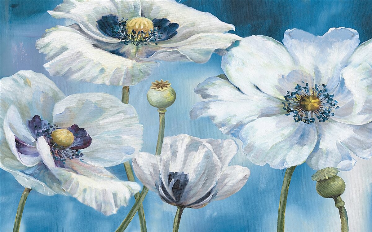 Papier peint d'énormes coquelicots blancs