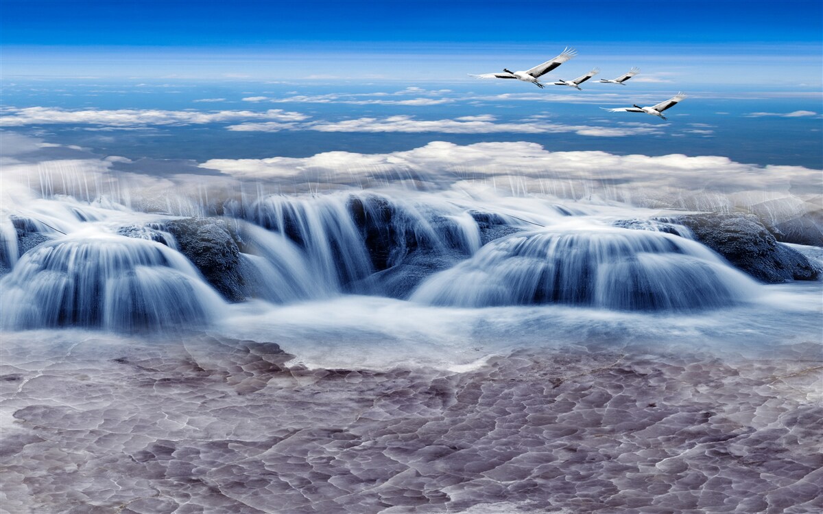 Papier peint une chute d'eau sur laquelle planent des oiseaux