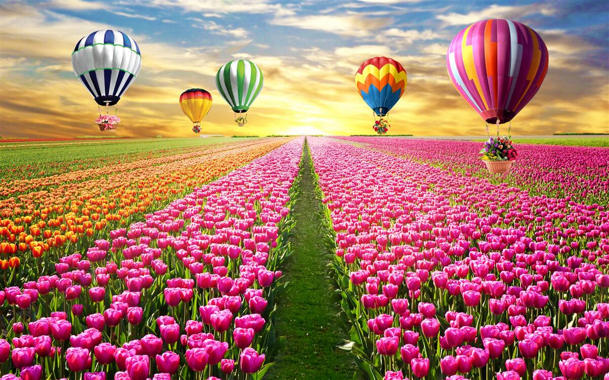 Papier peint boules s'élevant au-dessus d'un champ de tulipes