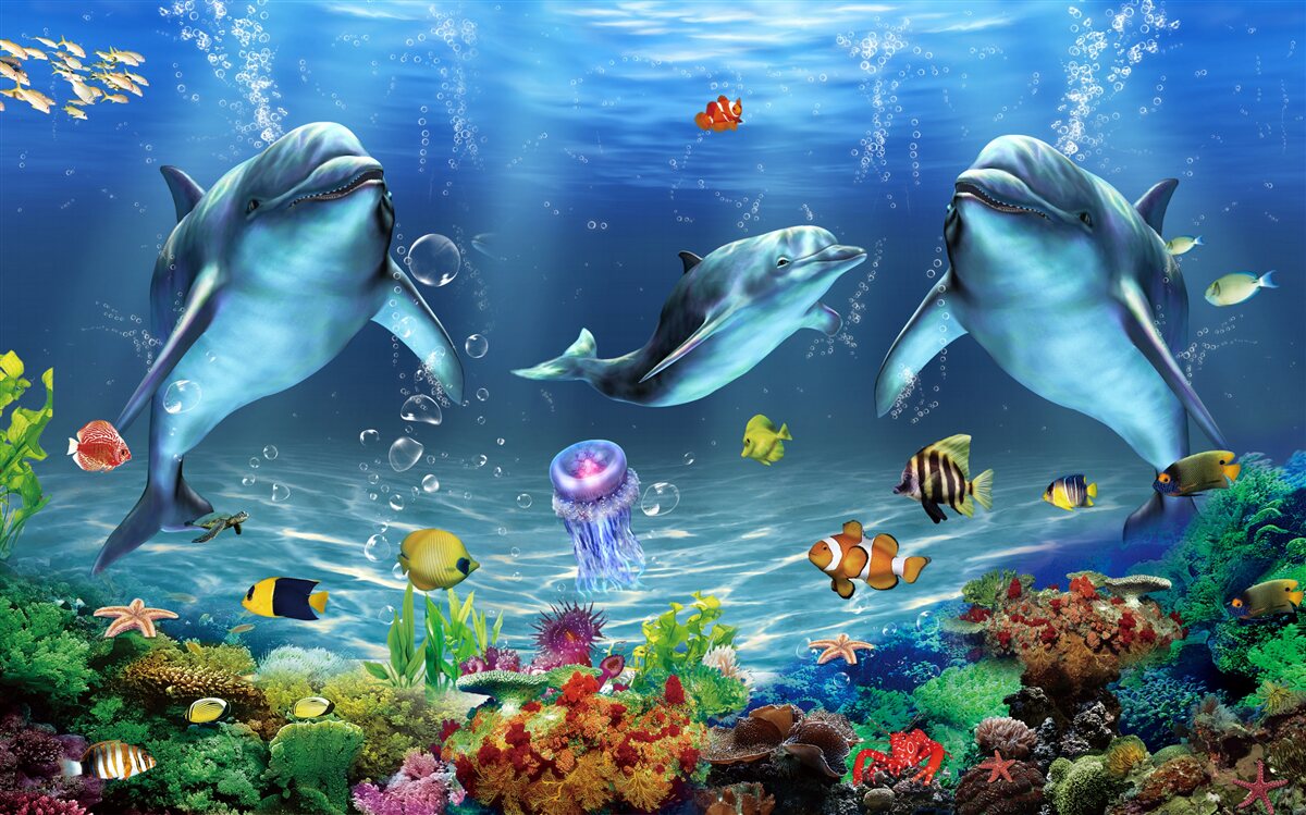 Papier peint habitants de l'eau - dauphins