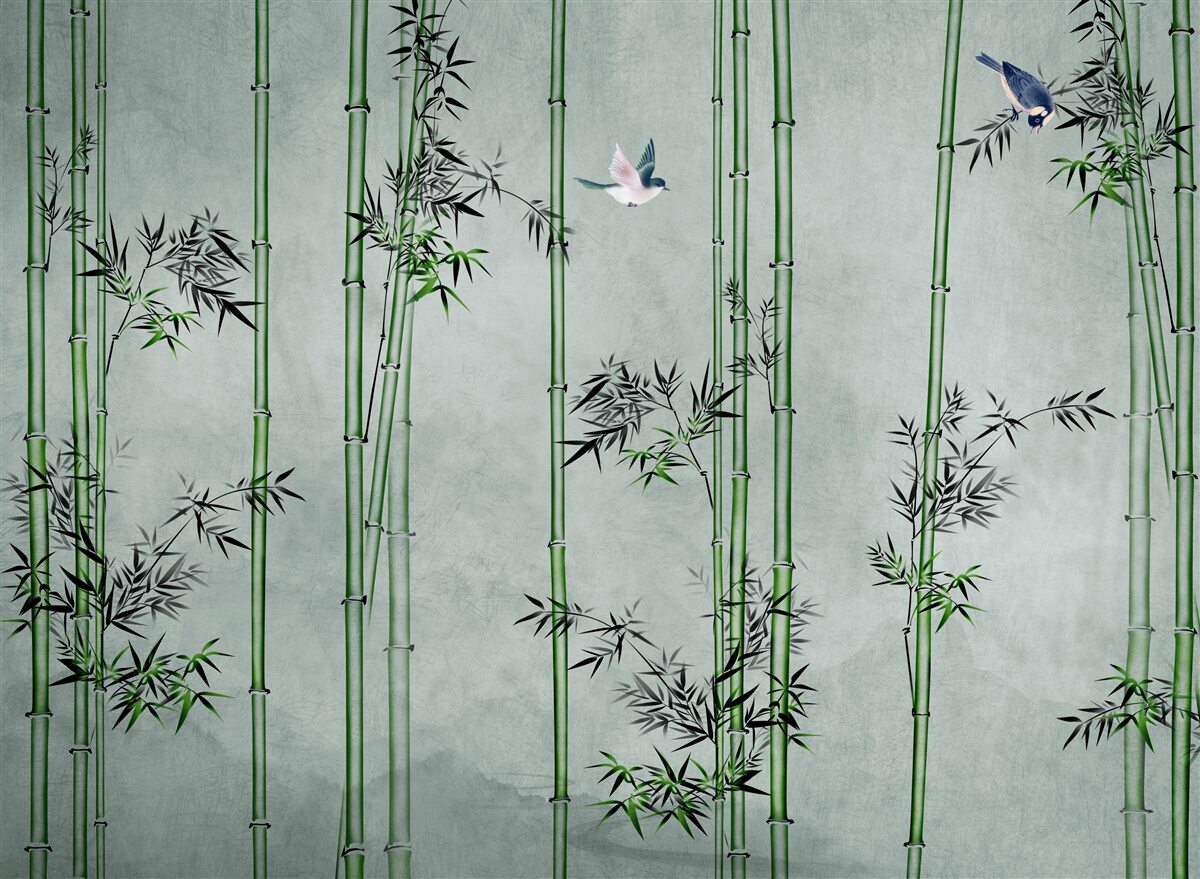 Papier peint la forêt de bambous est enveloppée de brume