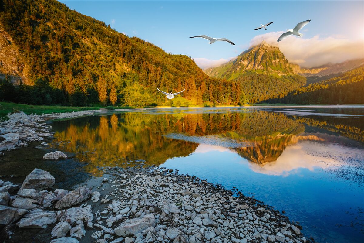 Papier peint oiseaux volant au-dessus des eaux de montagne