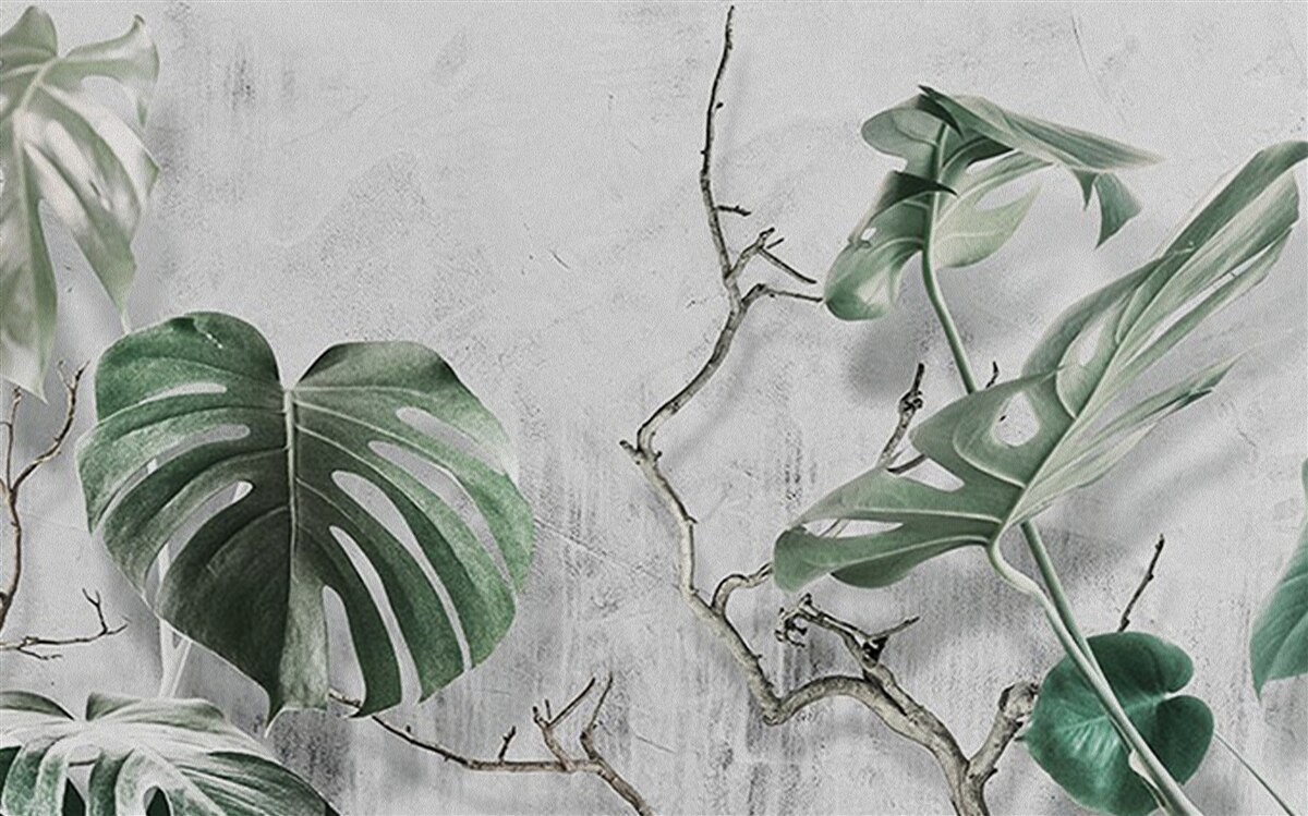 Papier peint les feuilles de la monstera verte sont grandes