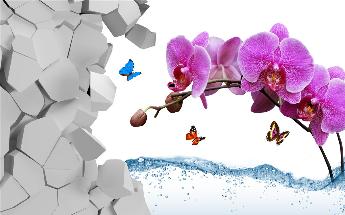 Papier peint orchidée violette et papillons sur une branche