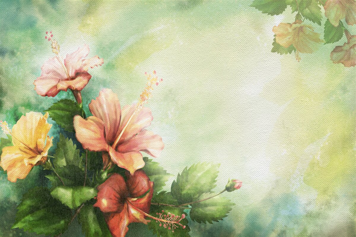 Papier peint belles plantes à l'aquarelle