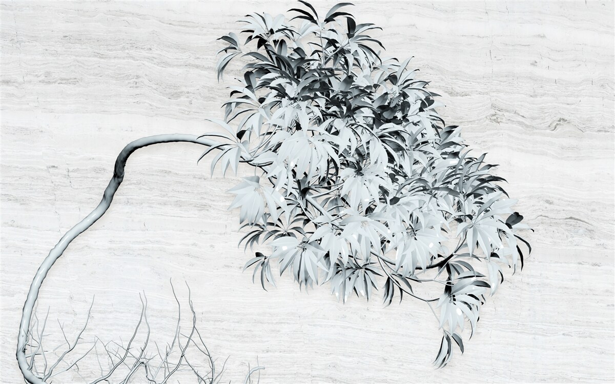 Papier peint un arbre seul dans le vent