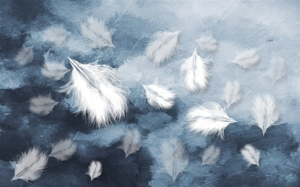 Papier peint des plumes douces et blanches comme la neige