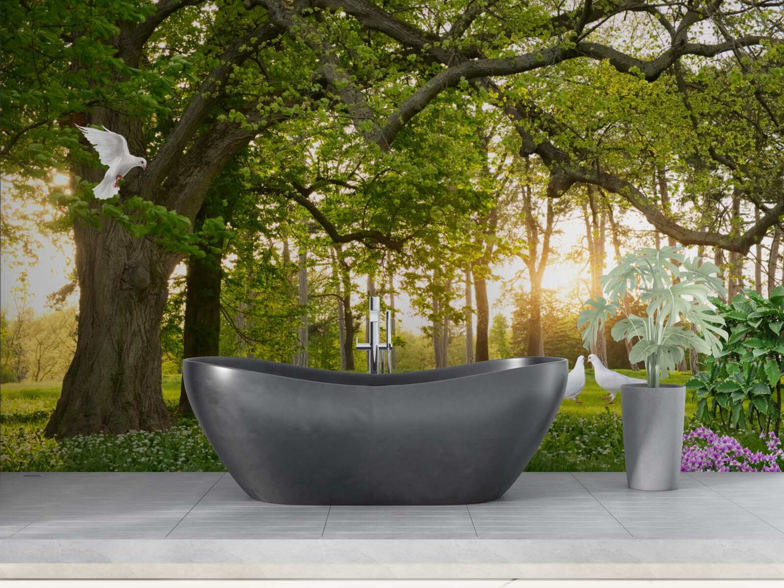 Papier peint les pigeons brillent de leur blancheur à l'aube dans une forêt verdoyante