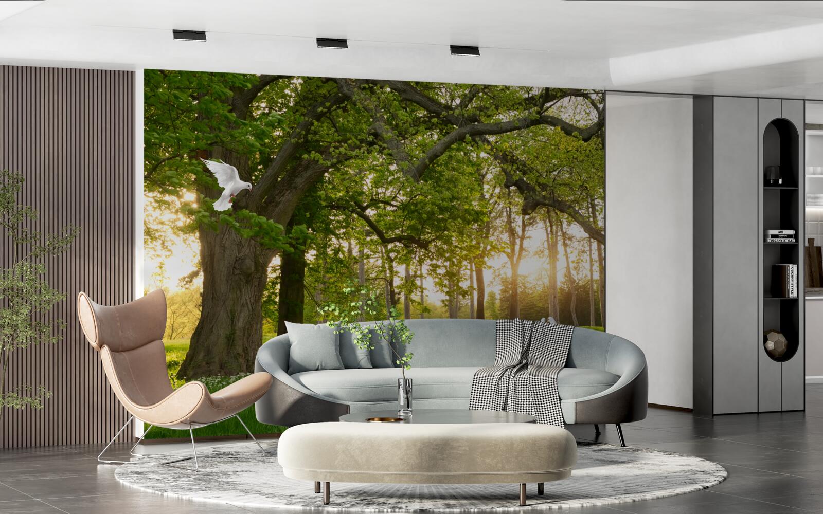 Papier peint les pigeons brillent de leur blancheur à l'aube dans une forêt verdoyante