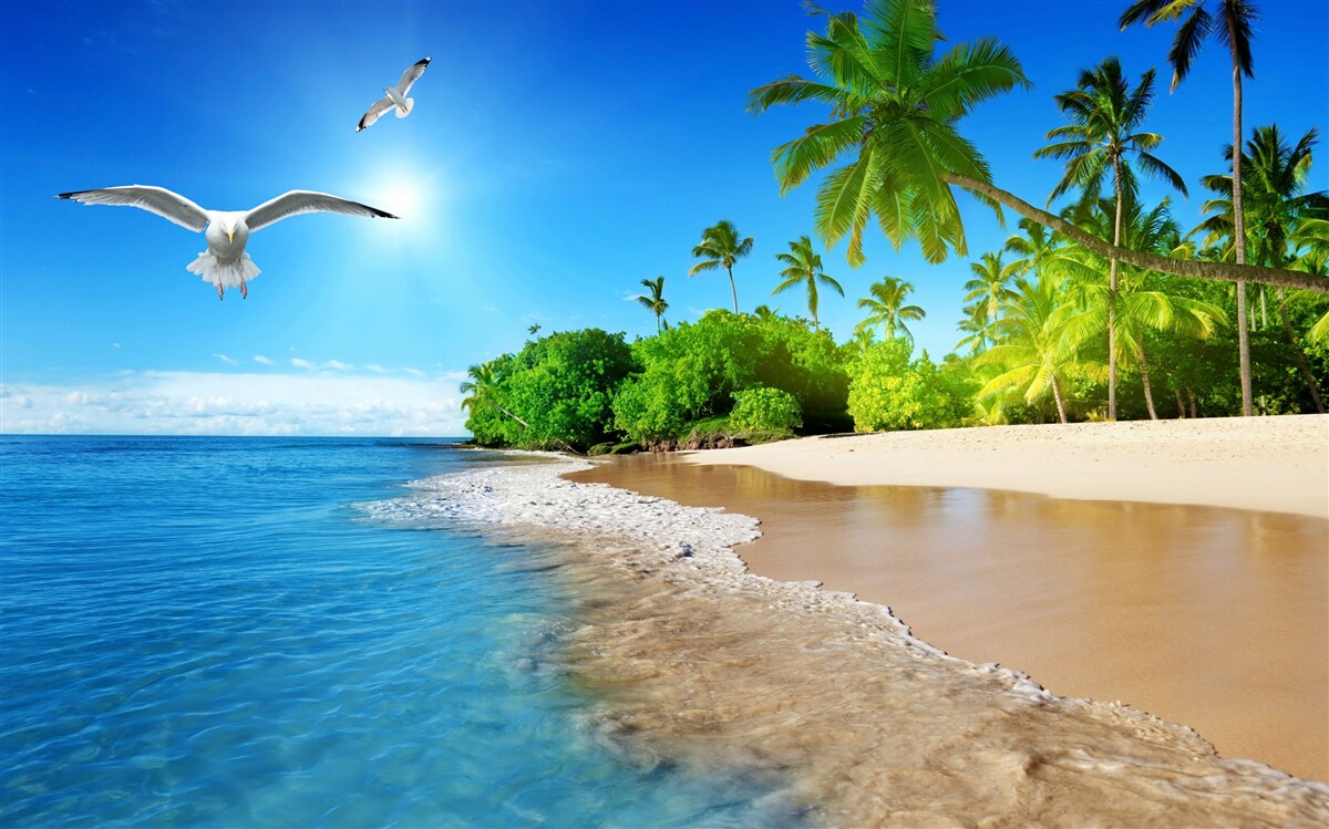 Papier peint Situation idyllique au bord de l'océan