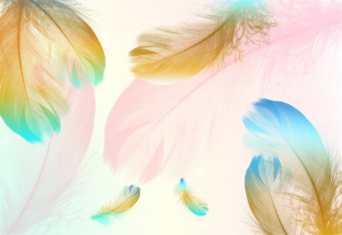 Papier peint plumes pastel