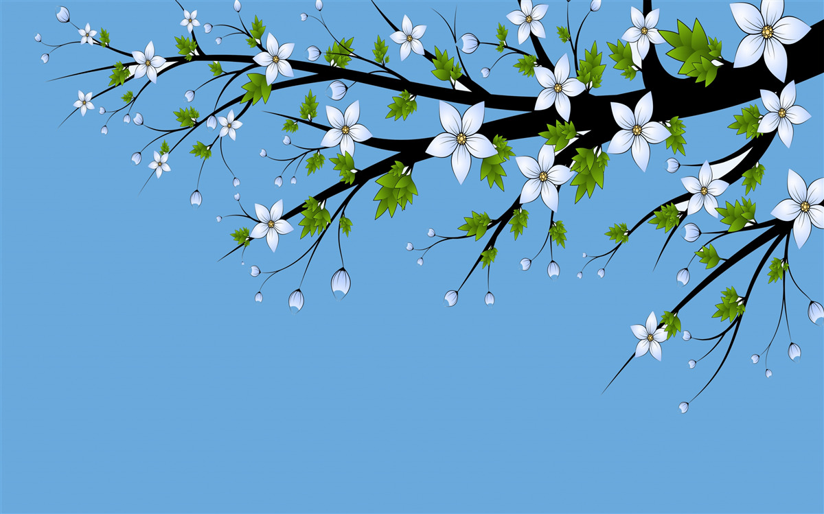 Papier peint une branche sur laquelle s'ouvrent des bourgeons blancs