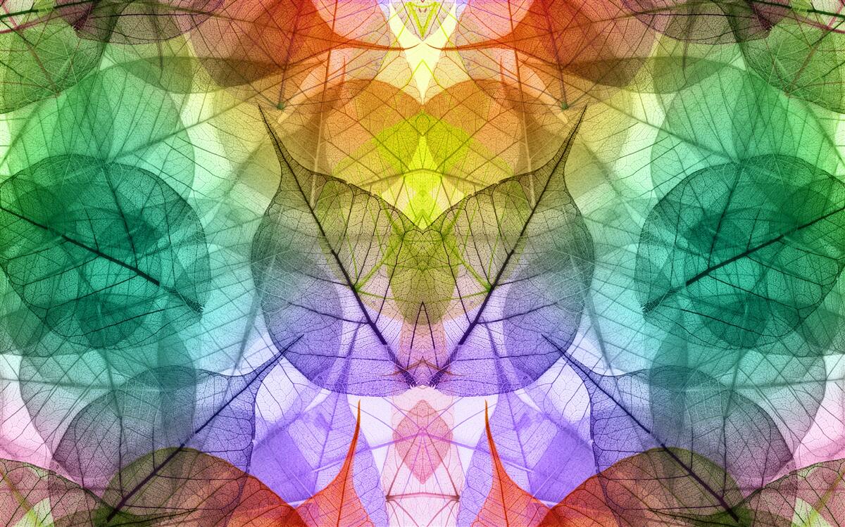 Papier peint des feuilles chatoyantes dans toutes les nuances de l'arc-en-ciel