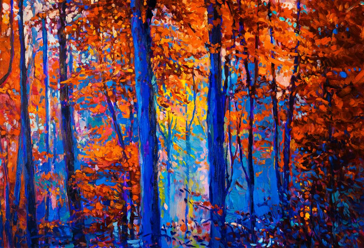 Papier peint contraste des couleurs dans la forêt en automne