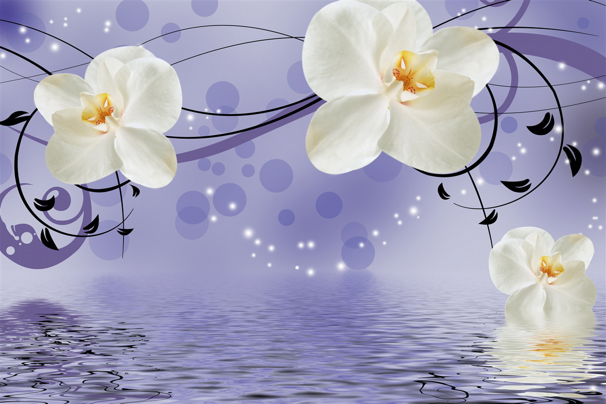 Papier peint il y a de grandes fleurs blanches au bord de l'étang