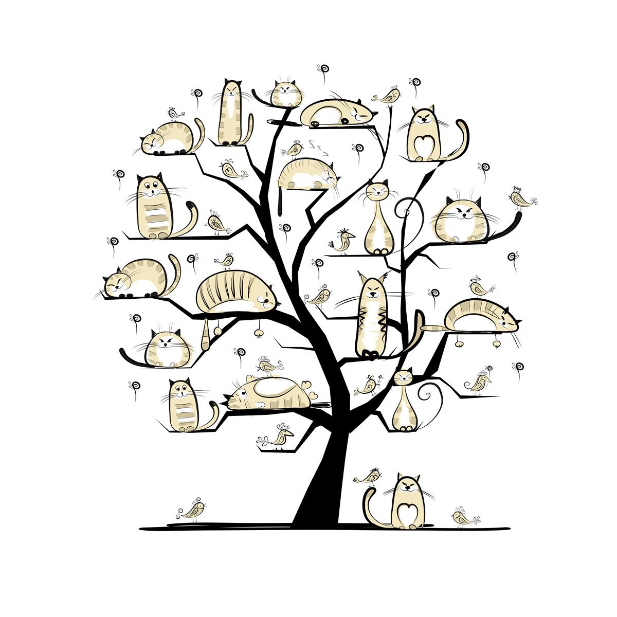 Papier peint chats pelucheux sur des branches d'arbre