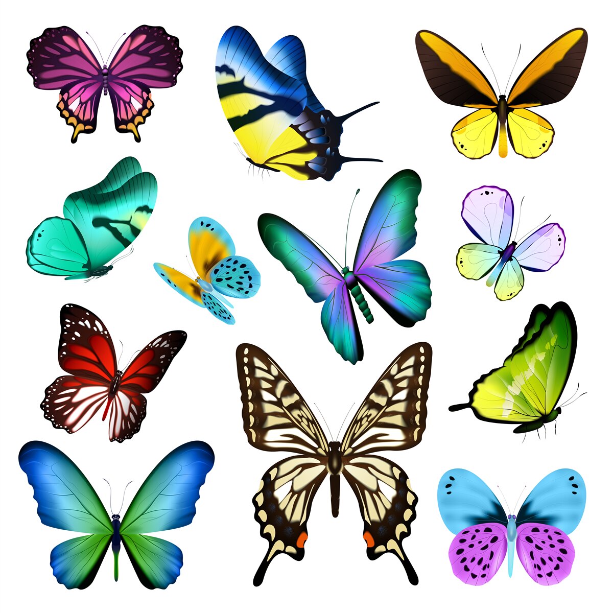 Papier peint aquarelle représentant des feuilles scandinaves