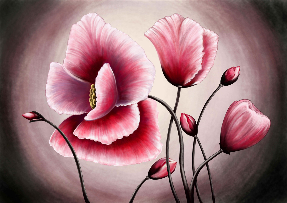 Papier peint coquelicots en fleurs roses