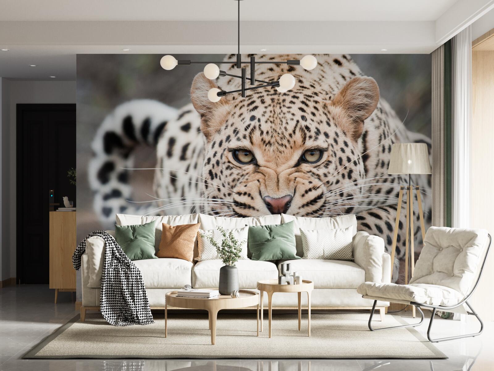 Papier peint léopard sur le point de sauter